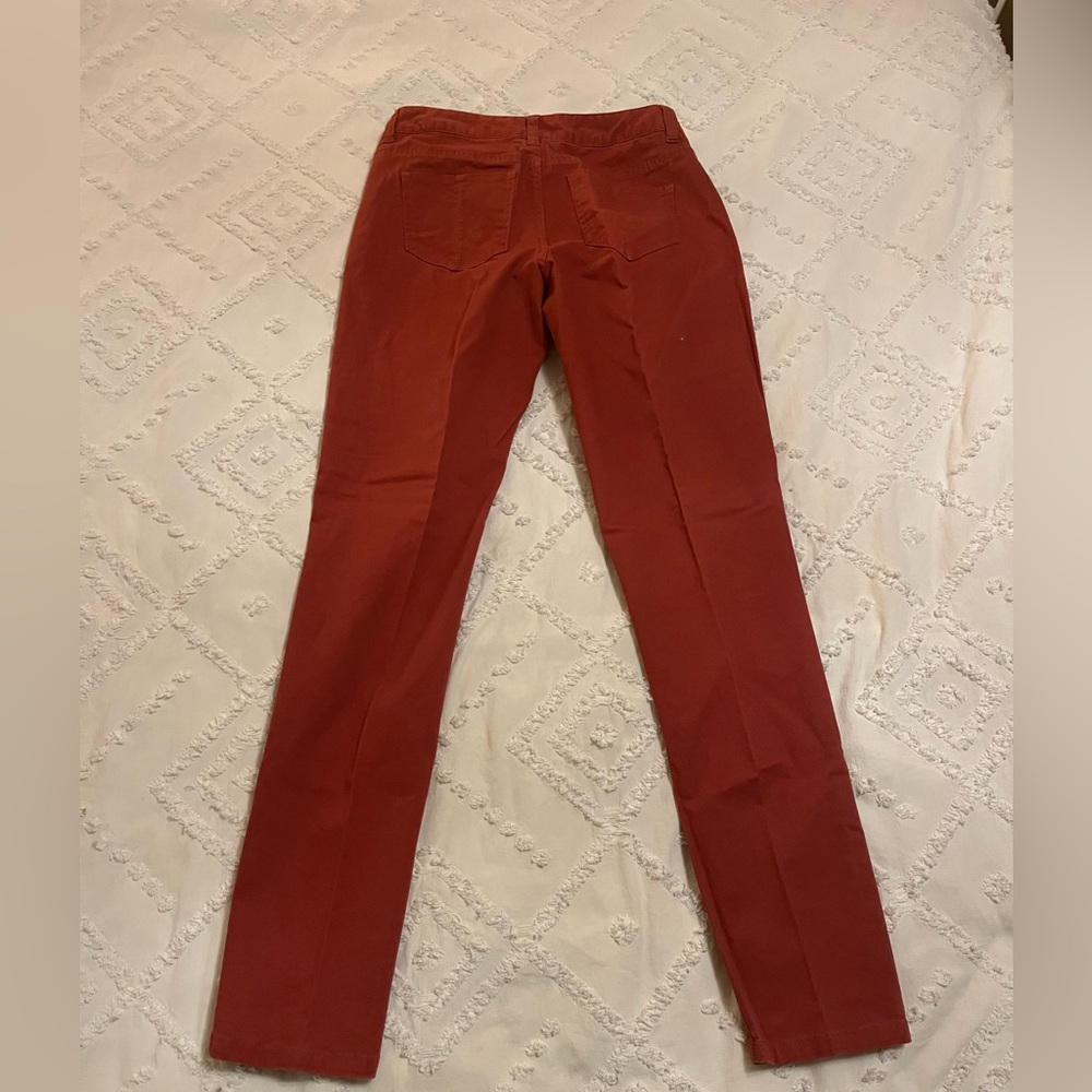 Natural Reflections Terracotta Pants
